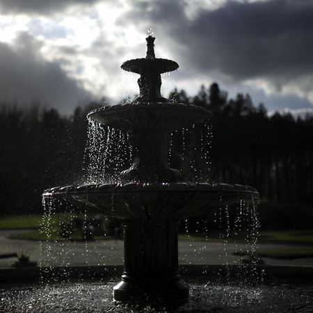Daresbury Park Hotel & Spa Dış mekan fotoğraf